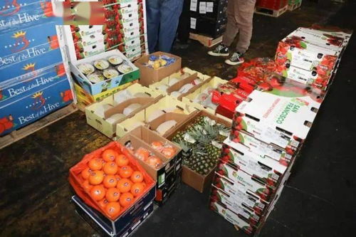 金华水果批发市场设立进口水果交易专区